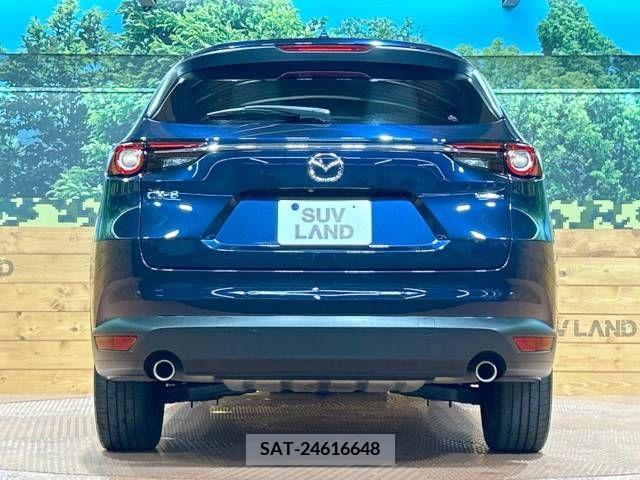 Mazda CX-8 2019-12 266196-16