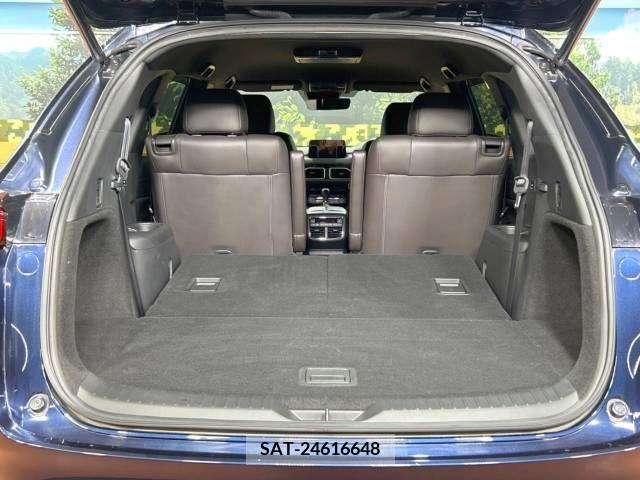 Mazda CX-8 2019-12 266196-11