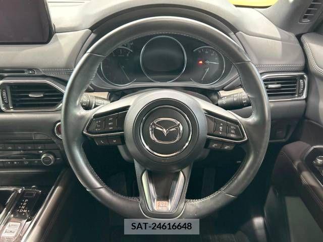 Mazda CX-8 2019-12 266196-12
