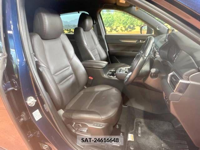 Mazda CX-8 2019-12 266196-8