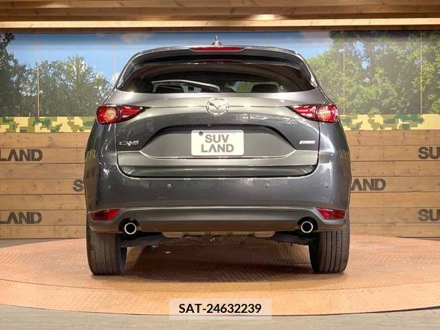 Mazda CX-5 2017-03 295792-15