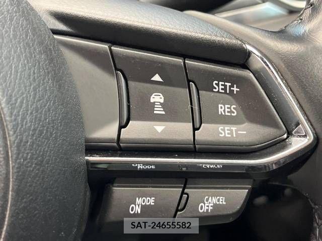 Mazda CX-8 2018-01 378775-4
