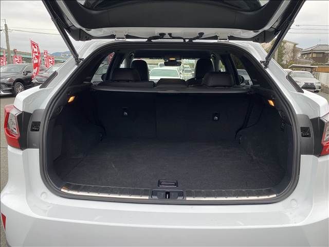 Lexus RX 2016-07 1210-14