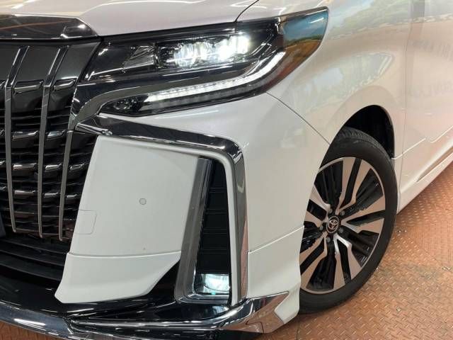 Toyota ALPHARD 2021-01 194697-15