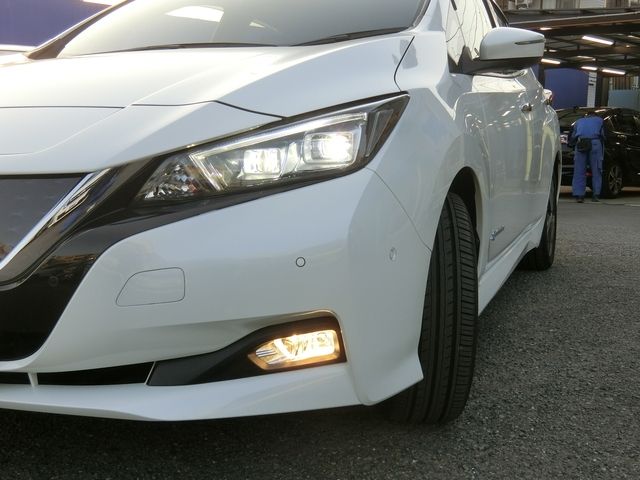 Nissan LEAF 2018-01 1828-19