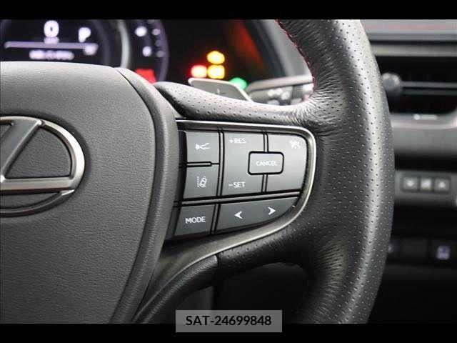 Lexus UX 2019-03 222640-6