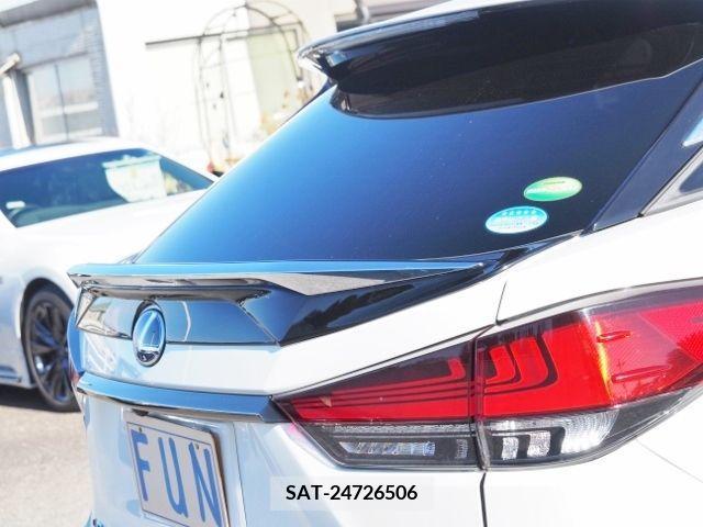 Lexus RX 2021-03 214229-9