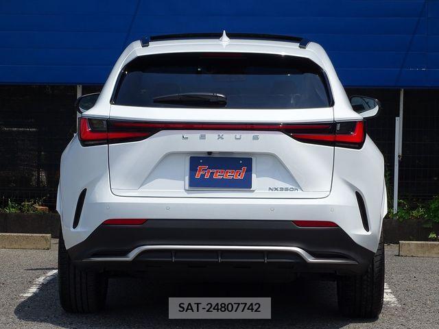 Lexus NX 2023-04 388401-10