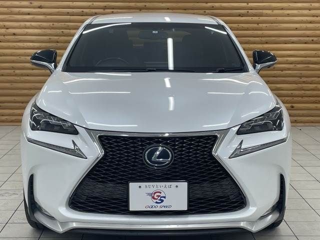 Lexus NX 2014-09 21063-13