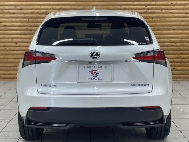 Lexus NX 2014-09 21063-16