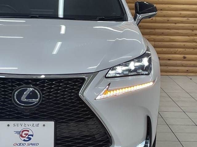Lexus NX 2014-09 21063-17