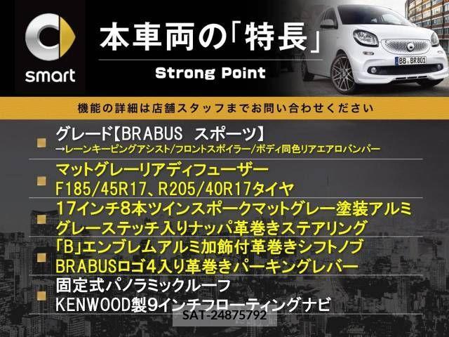 Mcc SMART 2019-06 239961-2
