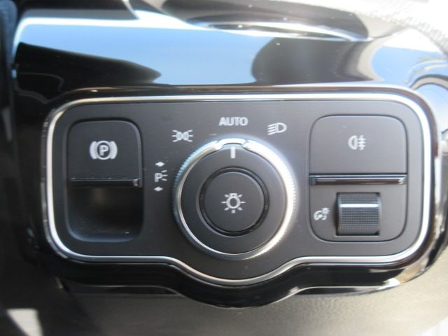 Mercedes Benz A-CLASS 2019-09 8899-15