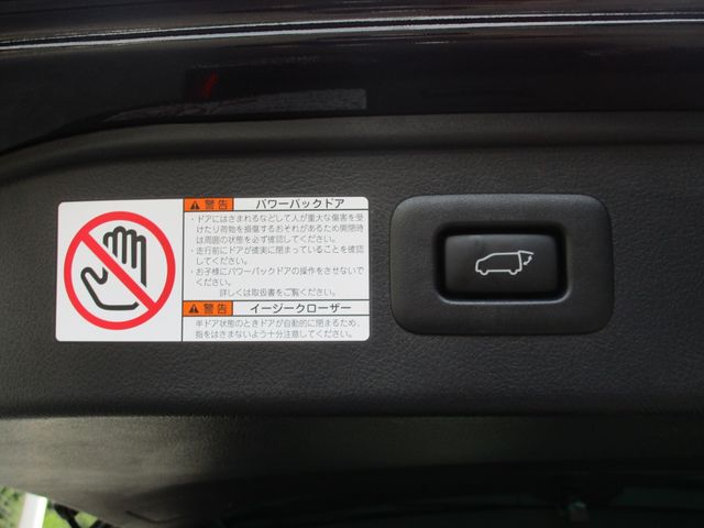 Toyota ALPHARD HYBRID 2021-02 4803-9