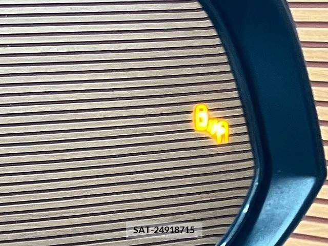 Mitsuoka BUDDY 2021-12 221837-4