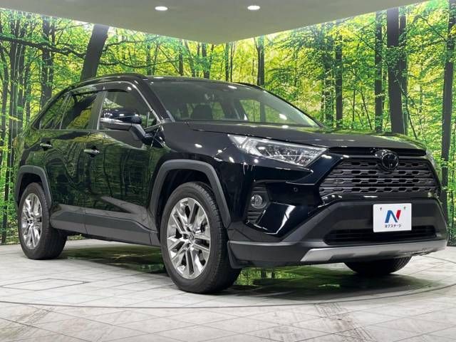 Toyota RAV4 2020-02 10900-16