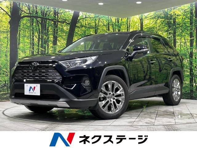 Toyota RAV4 2020-02 10900-0