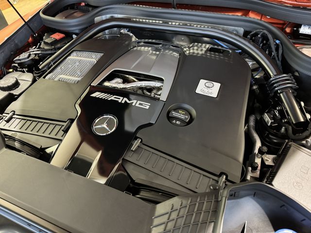 Amg G-CLASS 2022-11 195700-4