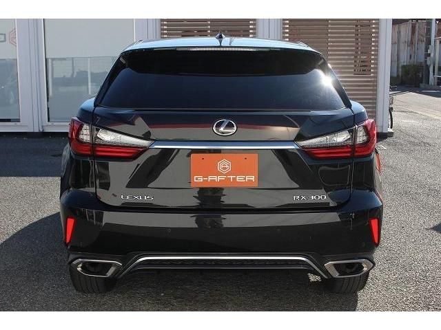 Lexus RX 2018-01 181770-7