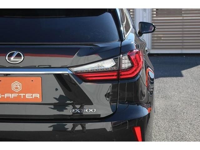 Lexus RX 2018-01 181770-11
