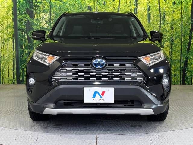 Toyota RAV4 2019-11 196139-14