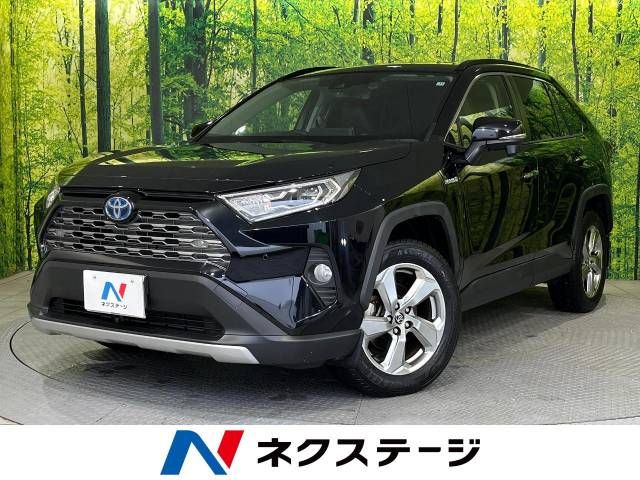 Toyota RAV4 2019-11 196139-0