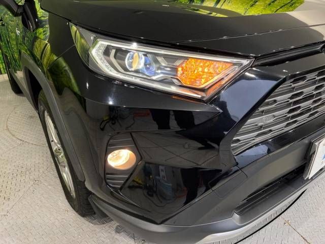 Toyota RAV4 2019-11 196139-12