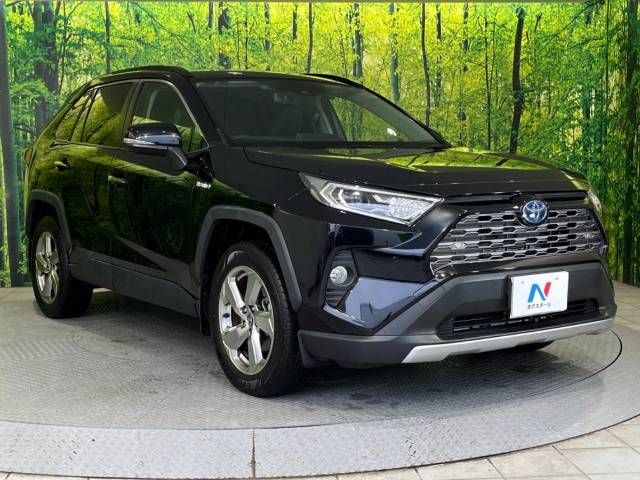 Toyota RAV4 2019-11 196139-16