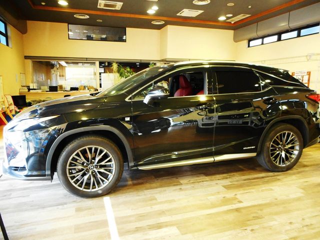 Lexus RX 2018-04 2906-6