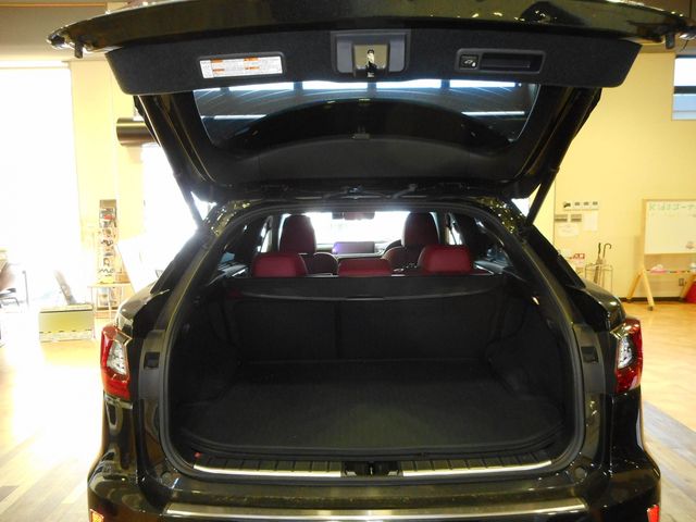Lexus RX 2018-04 2906-26