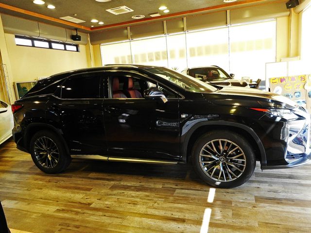Lexus RX 2018-04 2906-5