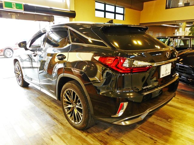Lexus RX 2018-04 2906-8