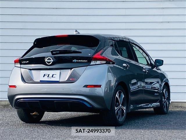 Nissan LEAF 2019-01 324794-6