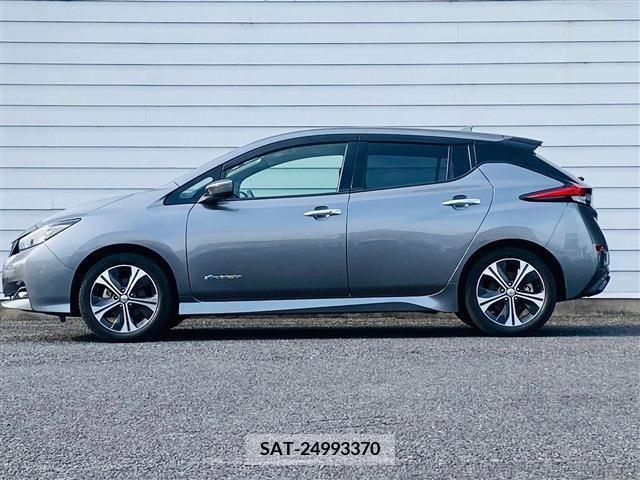 Nissan LEAF 2019-01 324794-5