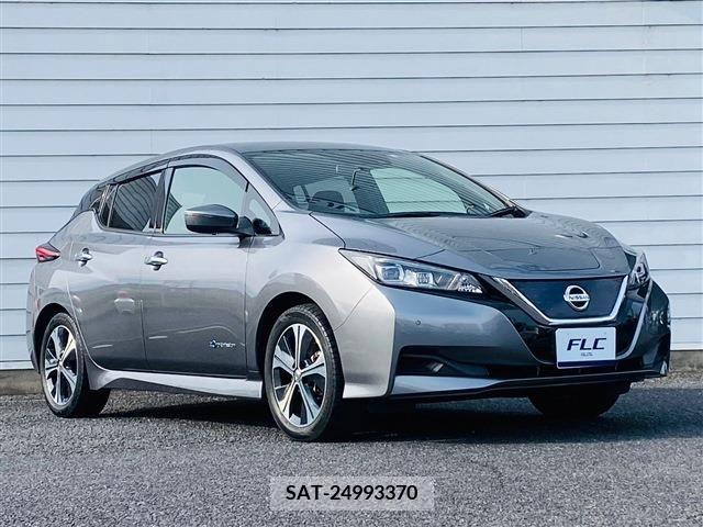Nissan LEAF 2019-01 324794-3