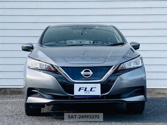 Nissan LEAF 2019-01 324794-2