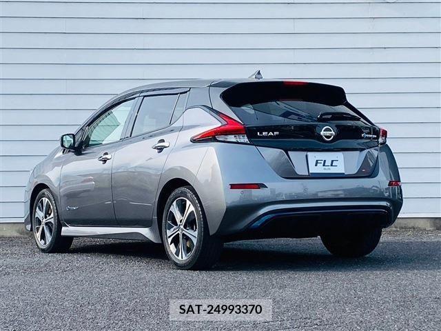 Nissan LEAF 2019-01 324794-1