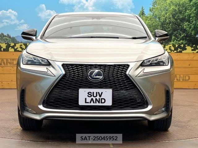 Lexus NX 2016-08 354114-14