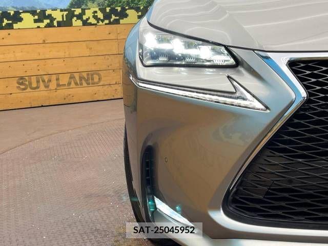 Lexus NX 2016-08 354114-12