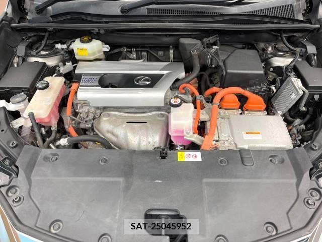Lexus NX 2016-08 354114-19