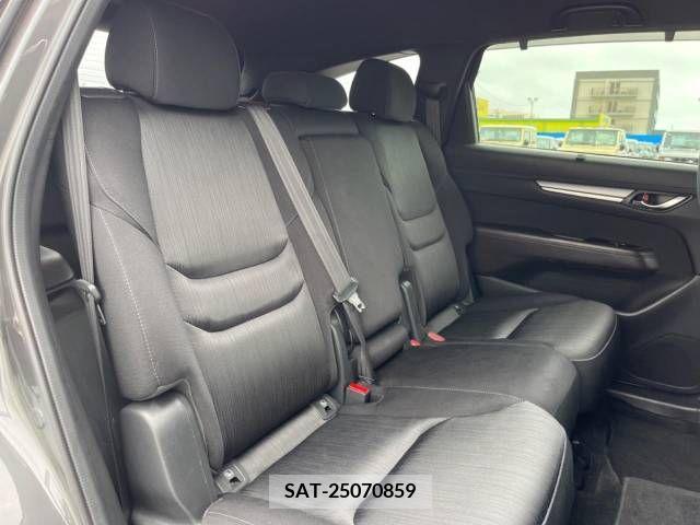 Mazda CX-8 2018-03 308544-12
