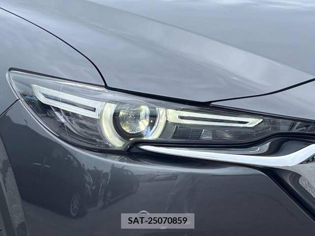 Mazda CX-8 2018-03 308544-16