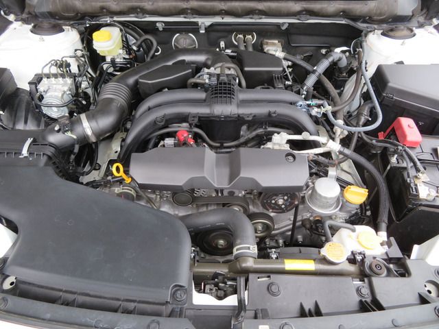 Subaru OUTBACK 2020-03 186773-17