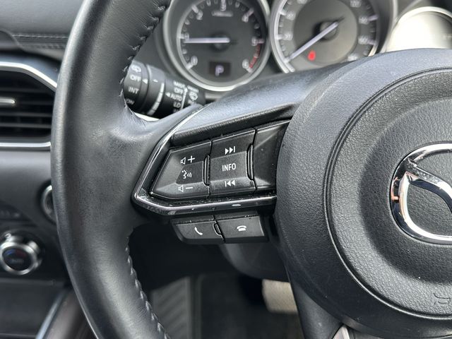 Mazda CX-8 2018-06 12674-20