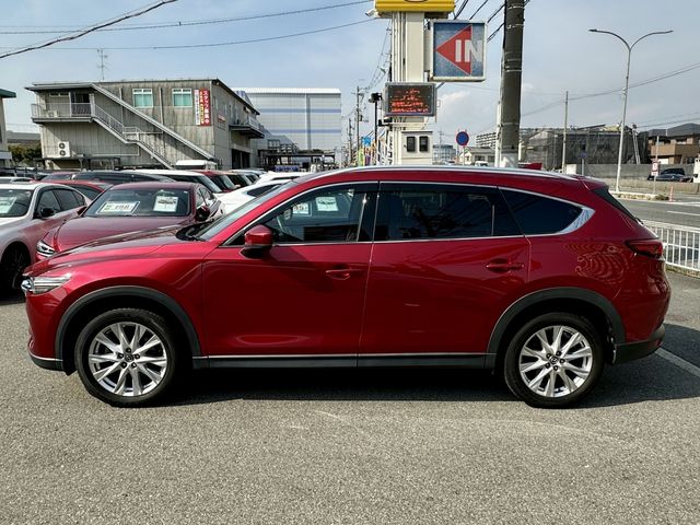 Mazda CX-8 2018-06 12674-3