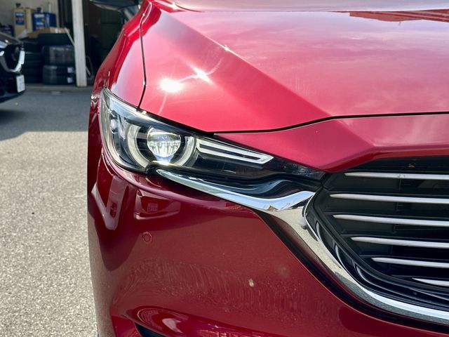 Mazda CX-8 2018-06 12674-6