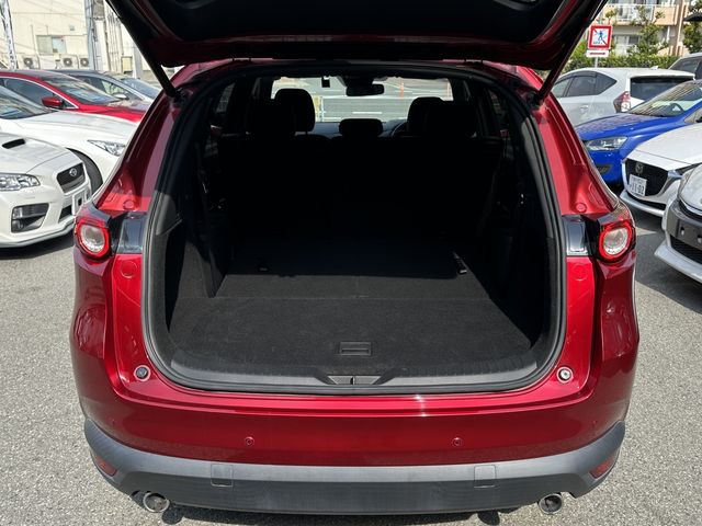 Mazda CX-8 2018-06 12674-12