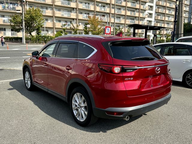 Mazda CX-8 2018-06 12674-5
