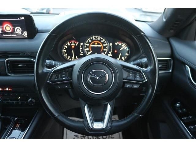 Mazda CX-8 2019-01 23670-11