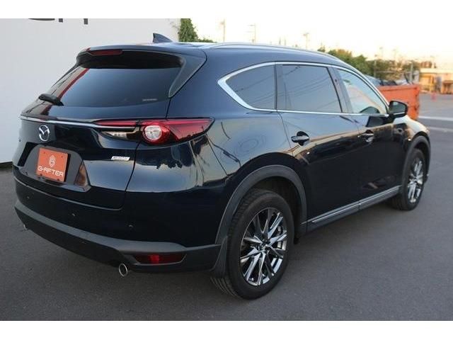 Mazda CX-8 2019-01 23670-3